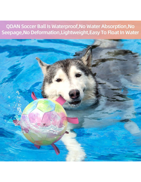 Balón de Fútbol para Perros QDAN Extra Grande 23 cm Arcoíris