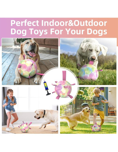 Balón de Fútbol para Perros QDAN Extra Grande 23 cm Arcoíris