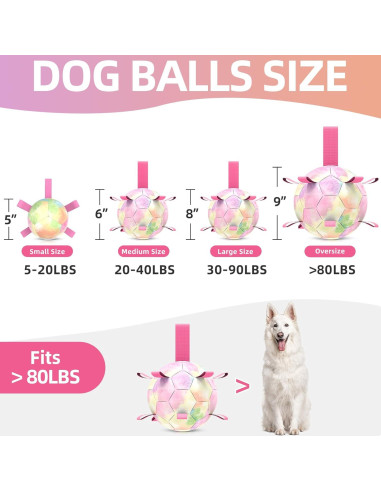 Balón de Fútbol para Perros QDAN Extra Grande 23 cm Arcoíris