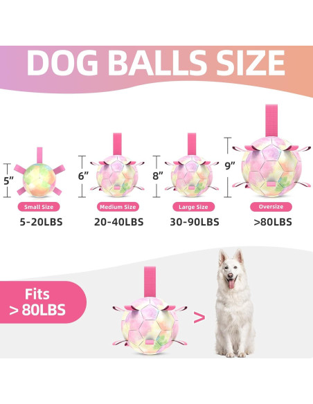 Balón de Fútbol para Perros QDAN Extra Grande 23 cm Arcoíris