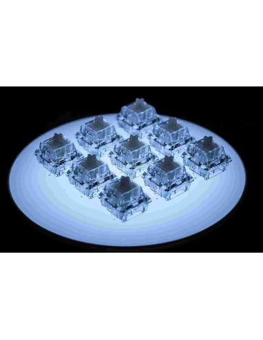 Interruptores Mecánicos Icy Silver Pro V2 Lineales PA12 RGB