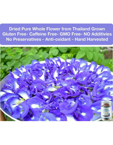 50 Bolsitas de Té de Flor de Mariposa Azul Secas - VitalForest