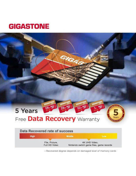 GIGASTONE Tarjeta Micro SD 128GB + Lector USB Tipo C 4K