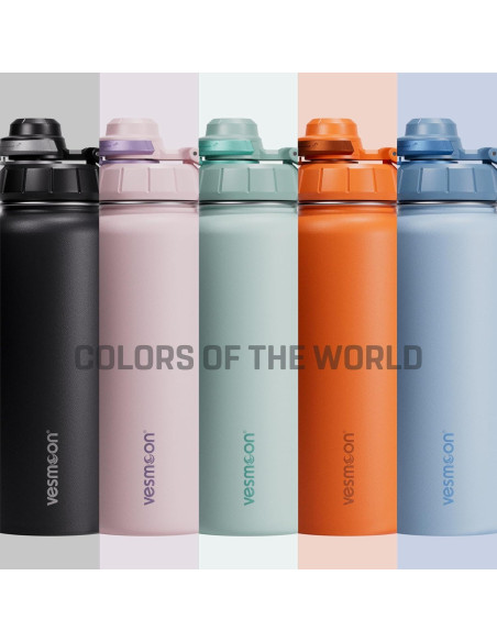 Botella de Infusión de Té Vesmoon Vessence 0.71 L Acero Inoxidable