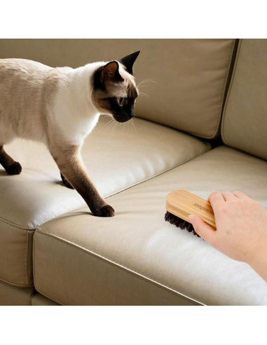 Cepillo para zapatos Zanzike 2 piezas pelo de caballo