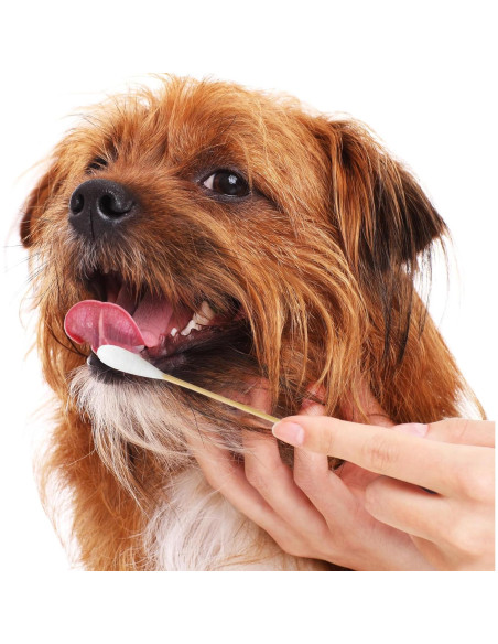 Hisopos de Algodón de Bambú para Limpieza de Oídos - 100 Pcs