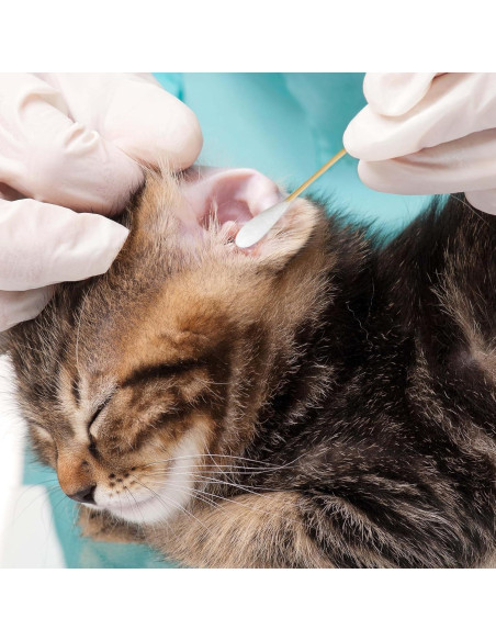 Hisopos de Algodón de Bambú para Limpieza de Oídos - 100 Pcs