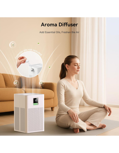 Purificador de aire HEPA 13 xCREAS Brivo300 para 180 m