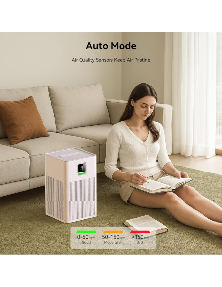 Purificador de aire HEPA 13 xCREAS Brivo300 para 180 m