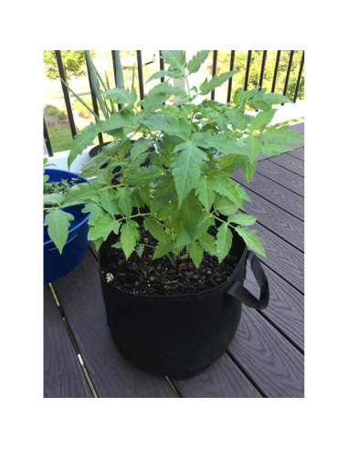 Paquete de 10 bolsas de cultivo Cavisoo 11.4L tela transpirable