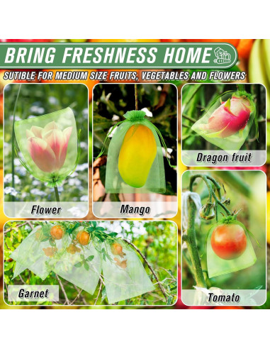 Bolsas de Protección para Frutas ANZNKU 100pcs 20x30 cm Verde