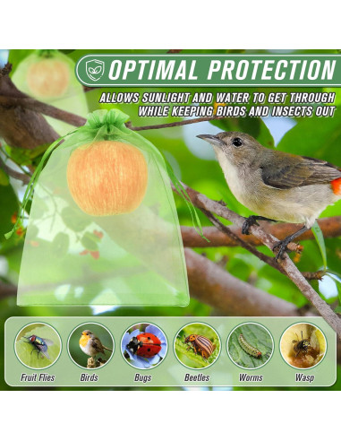 Bolsas de Protección para Frutas ANZNKU 100pcs 20x30 cm Verde