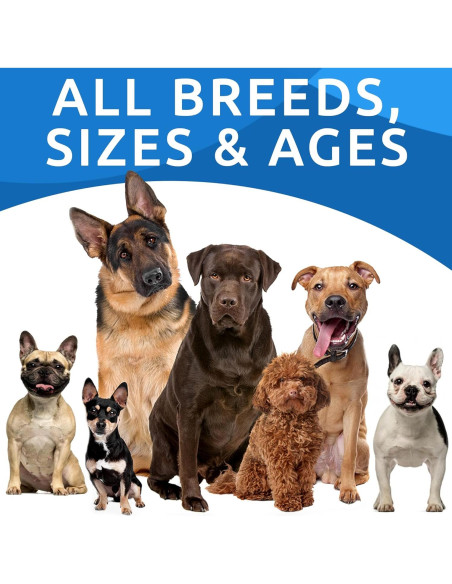 Probioticos para Perros Bark&Spark 240Ct Tocino Salud Digestiva