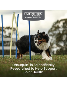 Dasuquin Nutramax para Perros Grandes 150 Golosinas Blandas 2