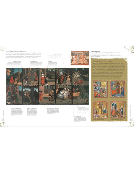 Religiones del mundo (World Religions): Cultos, ideas y creencias (DK Compact Culture Guides) (Spanish Edition)