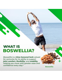Suplemento NuraFuse Boswellia 150 Cápsulas - Salud Articular y Digestiva 2