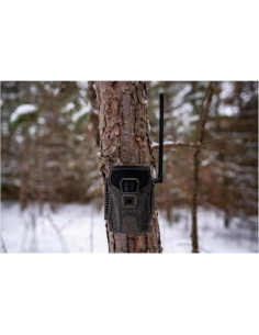 Cámara Celular Wildgame Innovations Terra XT 2.0 24MP 2