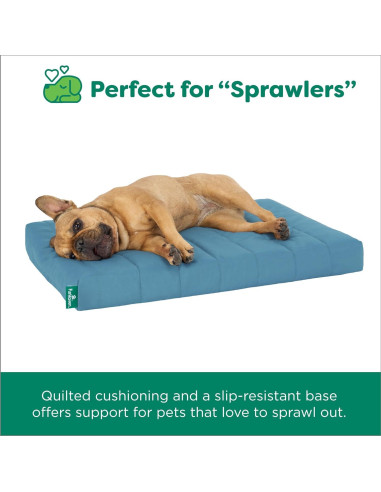 Cama ortopédica para perros FurHaven - Mediana, Laguna