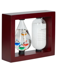 Estación Meteorológica Analógica JINGYUE con Termómetro Galileo 14.5x5.7cm