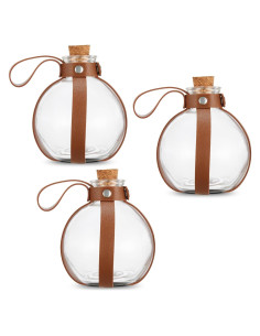 Botellas de Poción de Vidrio Camaleón Cósmico 1L (Paquete de 3)