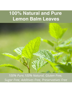 Bolsitas de Té de Melisa YUNHAHA - 50 Unidades Ecológicas 2