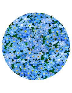 Abrebotellas de Silicona Andreas JO-375 Antideslizante 15.88 cm