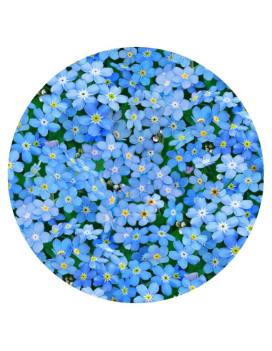 Abrebotellas de Silicona Andreas JO-375 Antideslizante 15.88 cm