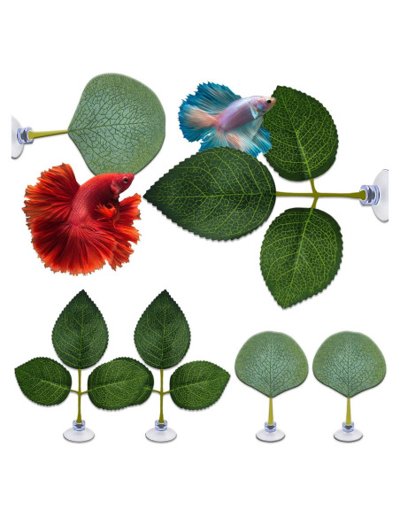 Hamaca de hojas para peces Betta Huizhou 6 PCS - Natural