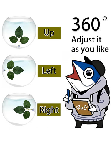 Hamaca de hojas para peces Betta Huizhou 6 PCS - Natural