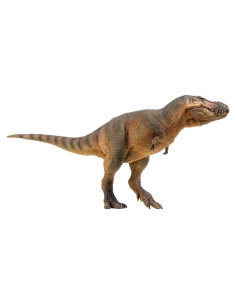 Modelo Dinosaurio PNSO 58 Luxiong El Zhuchengtyrannus