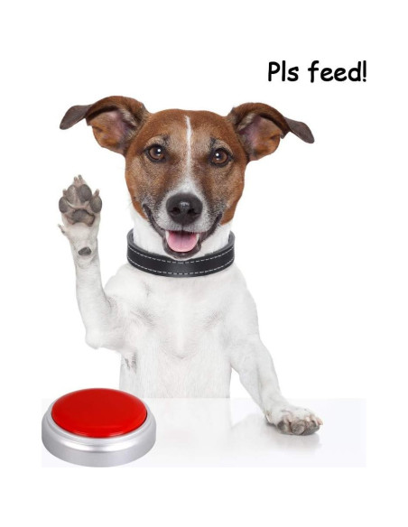 Botón Grabador de Sonido 30 Segundos Cover RM5-WR Rojo Plata