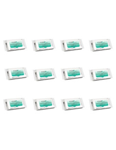 Toallitas Desinfectantes Protex 60 Unidades - Suaves y Listas para Usar