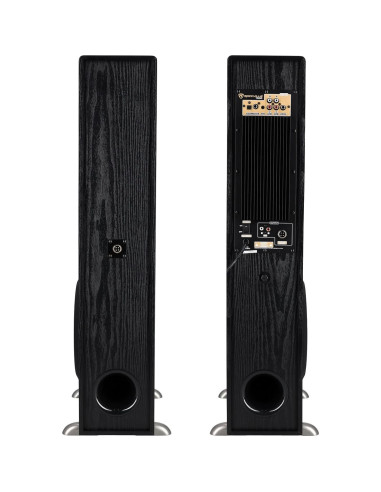 Sistema de Altavoces de Torre Rockville TM80B 800W Bluetooth USB