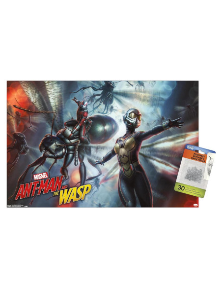 Póster de Pared Ant-Man y la Avispa Trends International 37.4x56.8cm