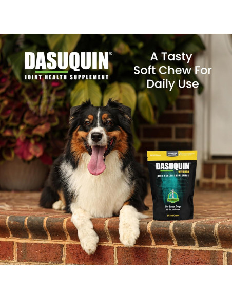 Nutramax Dasuquin MSM Masticables 84 Perros Grandes 0.54kg