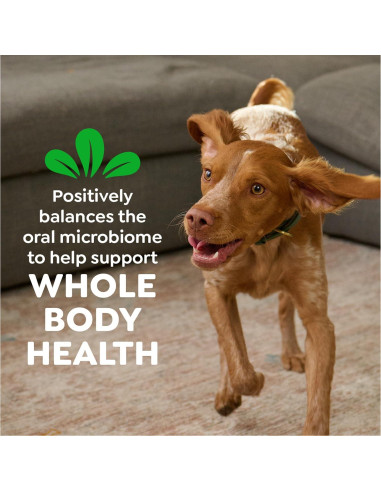 Golosinas Dentales Greenies para Perros 340 g - Sabor Original