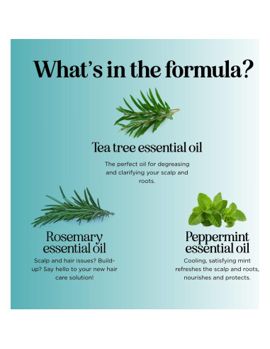 Champú Aclarador Maple Holistics 227ml - Árbol de Té y Menta