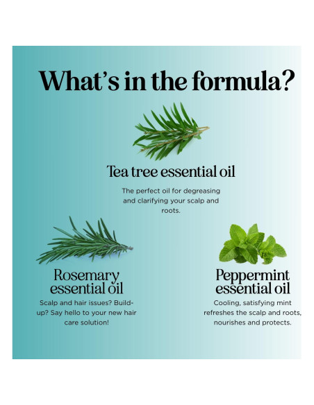 Champú Aclarador Maple Holistics 227ml - Árbol de Té y Menta