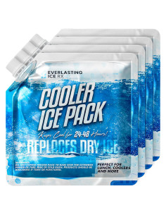 Paquetes de Hielo Reutilizables Everlasting Ice RX 4 Pzas 24.1 cm