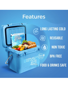 Paquetes de Hielo Reutilizables Everlasting Ice RX 4 Pzas 24.1 cm 2