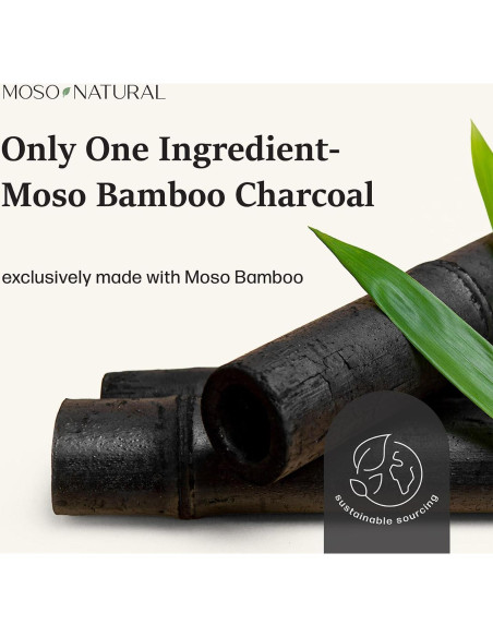 Bolsa Purificadora de Aire Moso 500g (2 Paquete) Carbón de Bambú