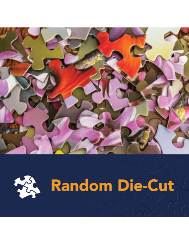 Rompecabezas 500 Piezas Bits and Pieces - Larry Jones - Postres y Más