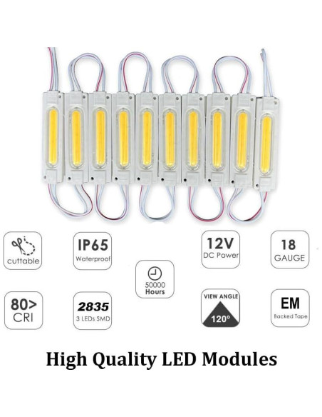 100 Módulos LED 12V IP65 Luz para Inflables y Carteles