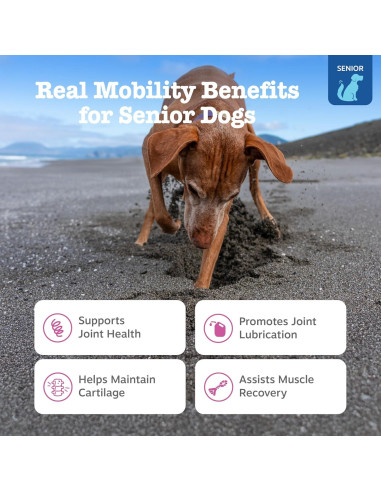 Zesty Paws Suplemento Articular para Perros - 90 Masticables de Pollo