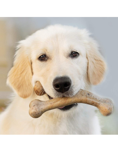 Benebone Juguete Masticable para Cachorros Medianos - Tocino Real