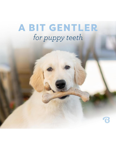 Benebone Juguete Masticable para Cachorros Medianos - Tocino Real