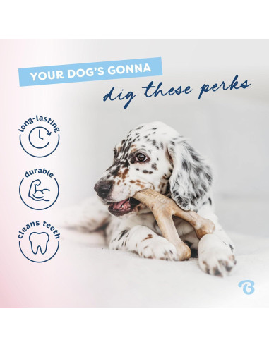 Benebone Juguete Masticable para Cachorros Medianos - Tocino Real