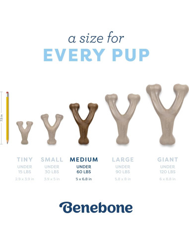 Benebone Juguete Masticable para Cachorros Medianos - Tocino Real