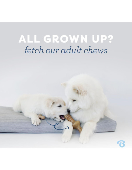 Benebone Juguete Masticable para Cachorros Medianos - Tocino Real