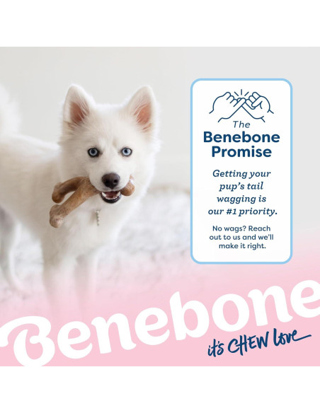 Benebone Juguete Masticable para Cachorros Medianos - Tocino Real